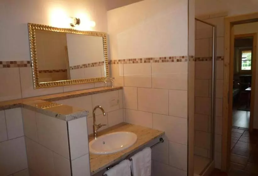 آپارتمان 1 خوابه با بالکن, Gästehaus Johanna