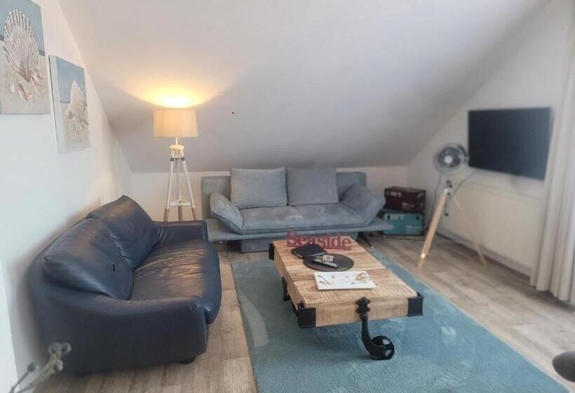 جناح جونيور, Aquarius