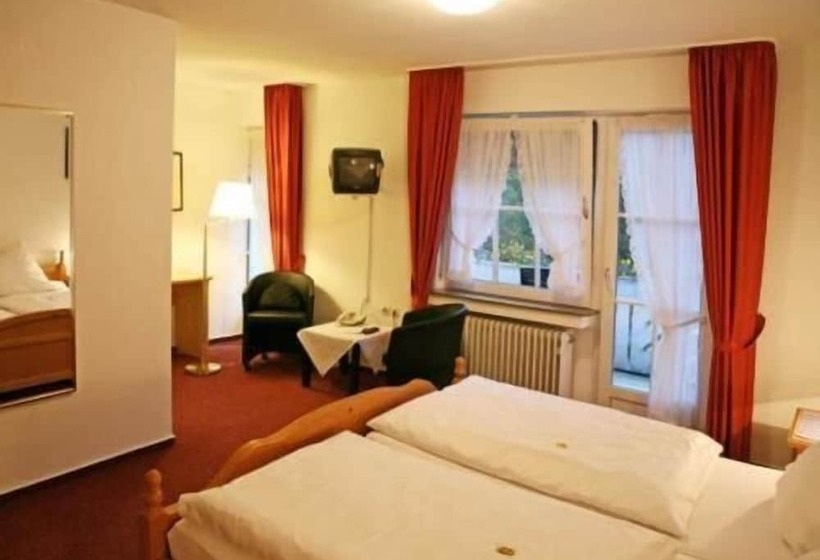 싱글 디럭스 룸, Haus Dumicketal