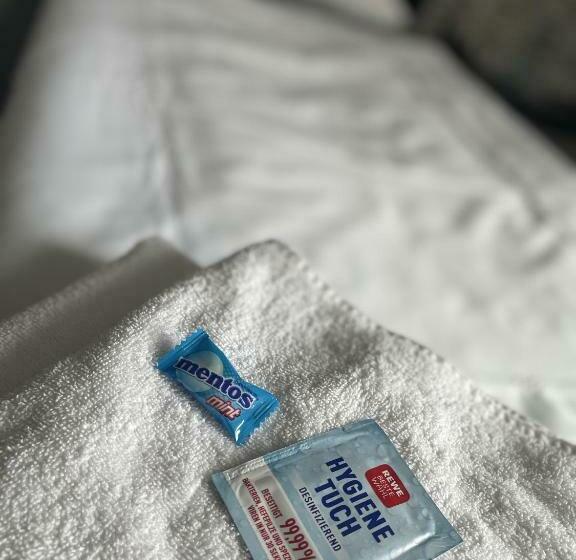 חדר סטנדרט יחיד, Jägerhof Kettwig