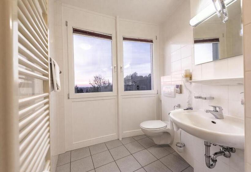 Standard Room, Raitelberg Resort