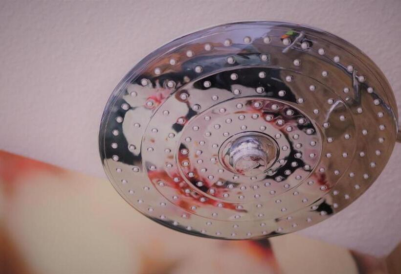 스탠다드 룸, Schmerkötter