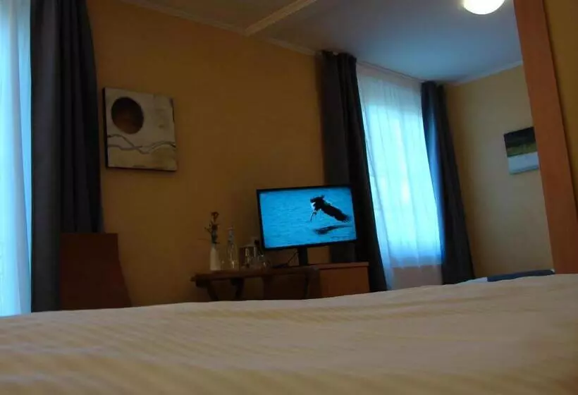 ジュニアスイート, Rotenberg Pt