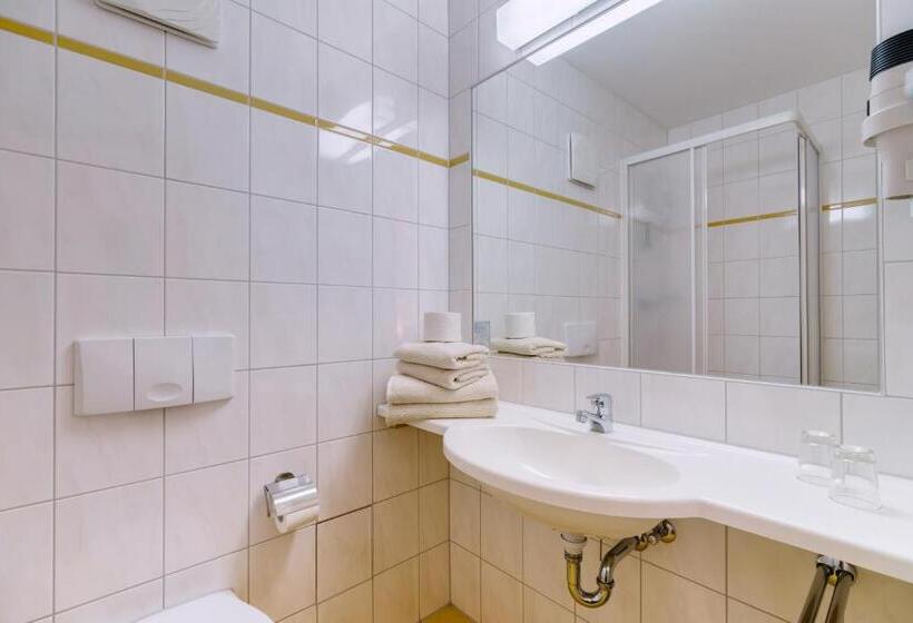 标准单人间, Waldhotel Vogtland