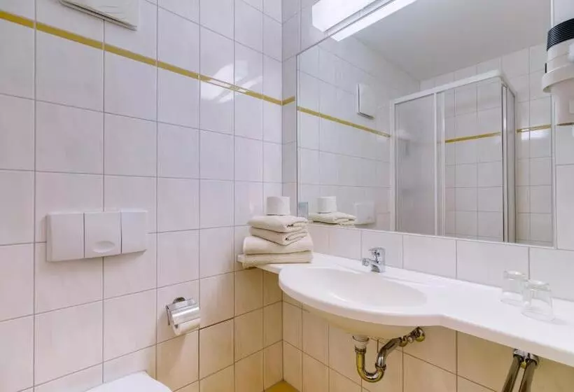 Standard Yhden Hengen Huone, Waldhotel Vogtland