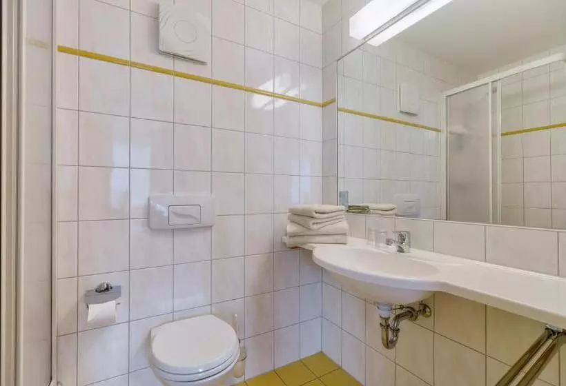 Standard-huone, Waldhotel Vogtland