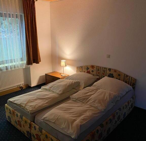 اتاق استاندارد با بالکن, Schwarzwaldblick