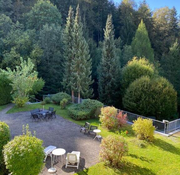 اتاق استاندارد با بالکن, Schwarzwaldblick