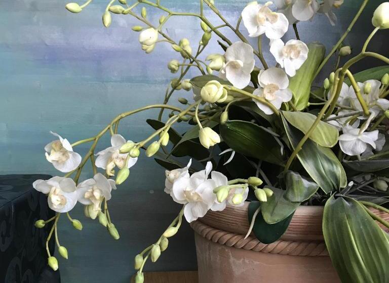 디럭스 패밀리 룸, Abalon Hotel Ideal