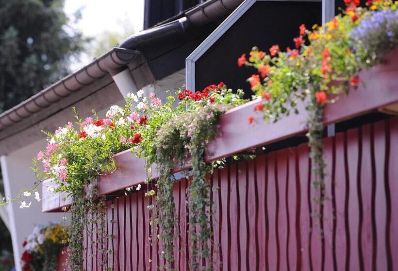 Quarto Estandar Individual, An Der Sonne