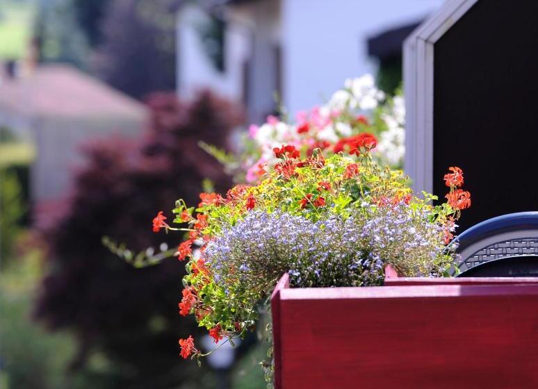 Quarto Estandar com Sacada, An Der Sonne