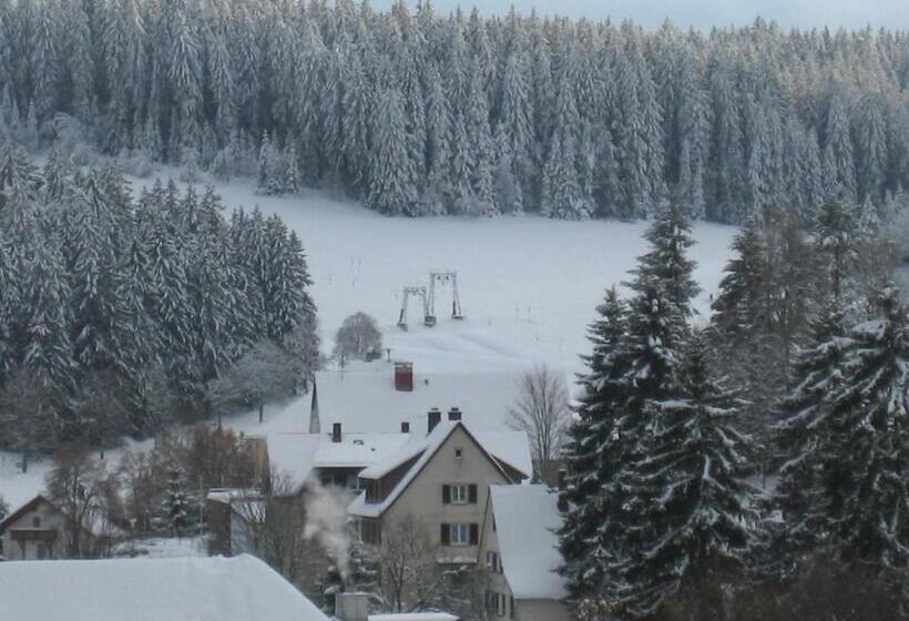 Quarto Estandar Individual com Sacada, An Der Sonne