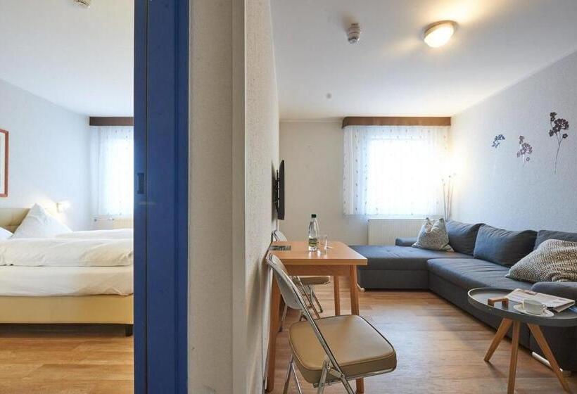 شقة غرفة واحدة, Anhalt