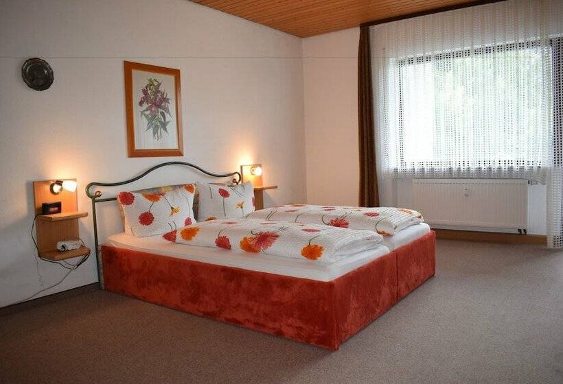 اتاق استاندارد با بالکن, Schwarzwaldblick