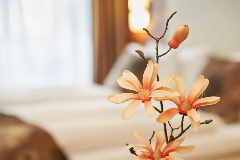 חדר סטנדרט יחיד, Meyerhof