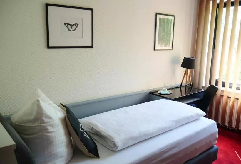スタンダードシングルルーム, Parkhotel Bergheim