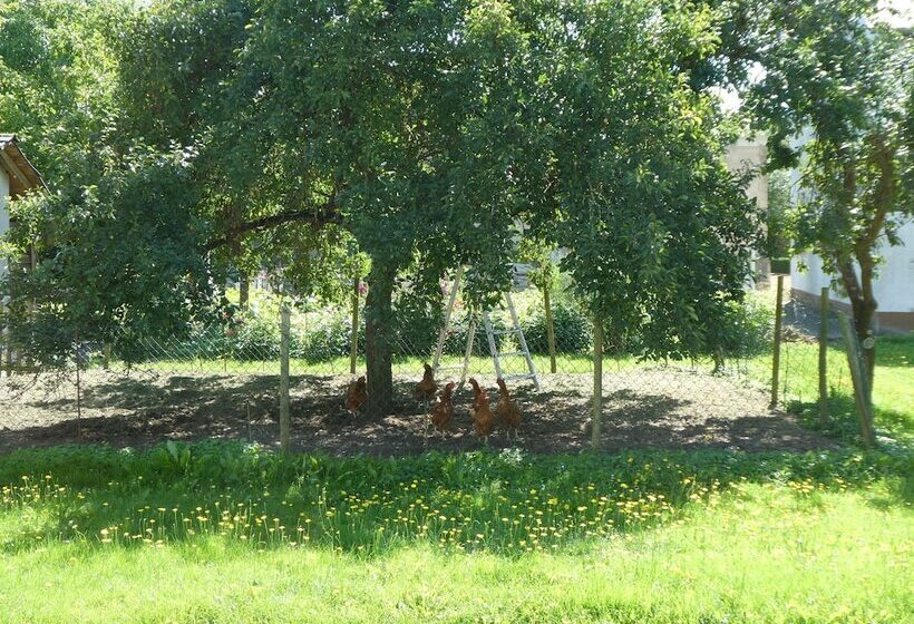 דירת נוחות 3 חדרים, Waldesblick, Hotel Restaurant