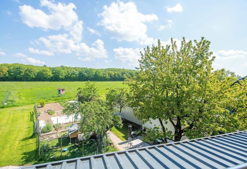 Номер Комфорт, Waldesblick, Hotel Restaurant