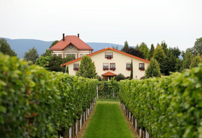 غرفة قياسية, Villa Hochdörffer Gästehaus