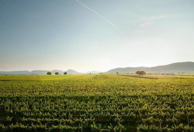 غرفة قياسية فردية, Villa Hochdörffer Gästehaus