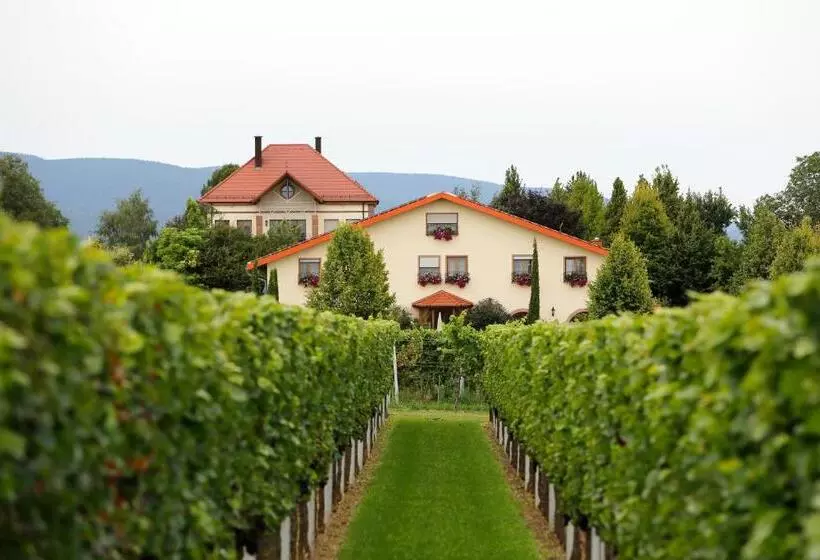 スタンダードシングルルーム, Villa Hochdörffer Gästehaus