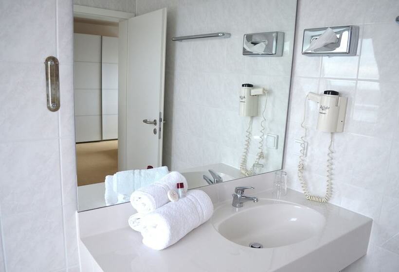 اتاق استاندارد, Weber Hotel Mannheim