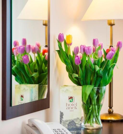 اتاق استاندارد سه نفره, Anek