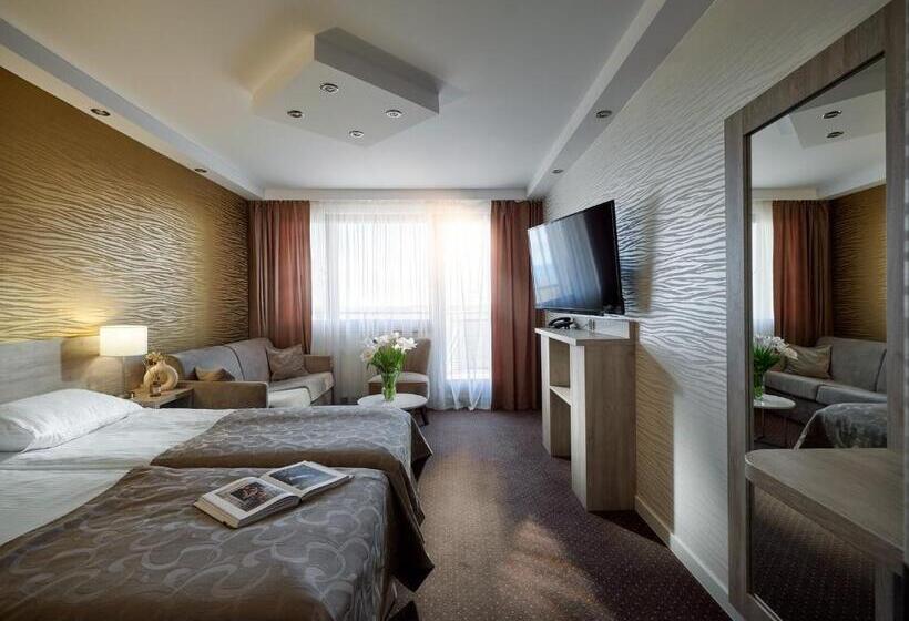 Номер Стандарт, Arka Medical Spa