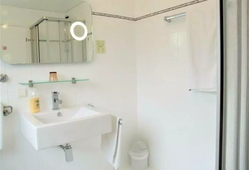 Standard Yhden Hengen Huone, Brehm