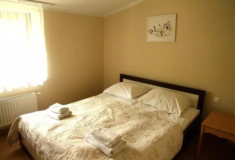 Studio Standard, Nest