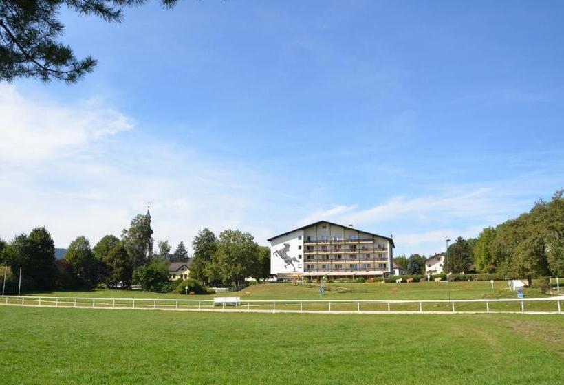 标准间, Reitzentrum Hausruckhof