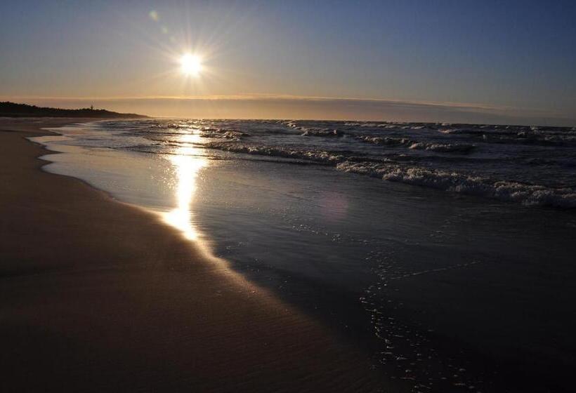 سوییت لوکس, Spinaker