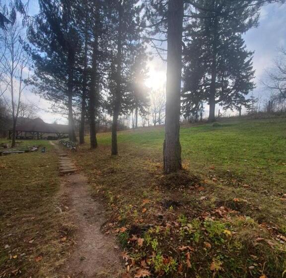 غرفة قياسية رباعية, Willa Alfa