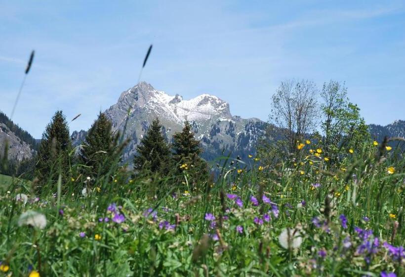 标准工作室带阳台, Landhaus Aggenstein