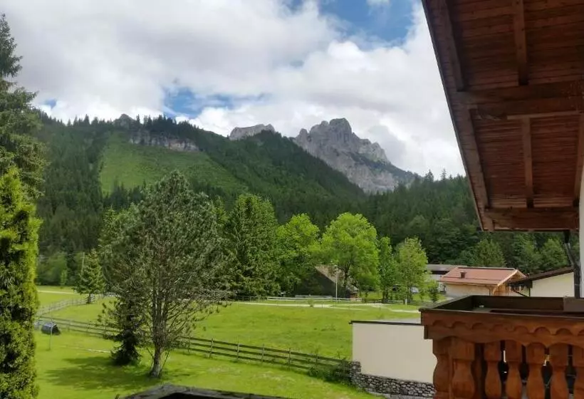 バルコニー付きスタンダードステューディオ, Landhaus Aggenstein