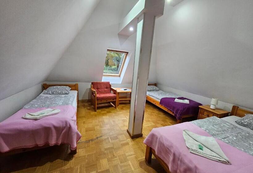 エコノミートリプルルーム, Villa Alexandra