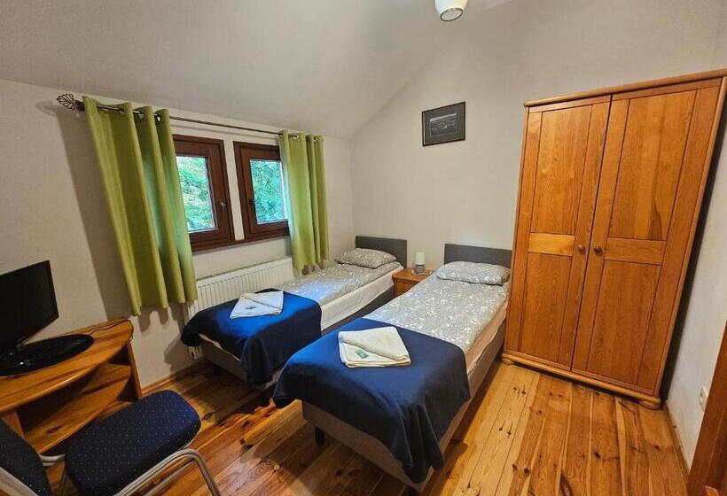 エコノミールーム, Villa Alexandra