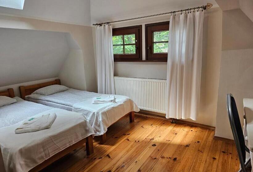 ベーシックルーム, Villa Alexandra