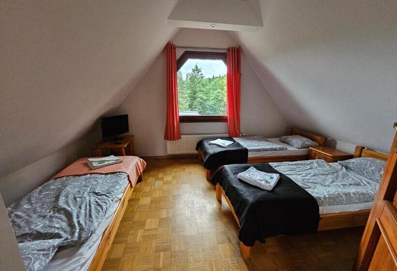 エコノミートリプルルーム, Villa Alexandra