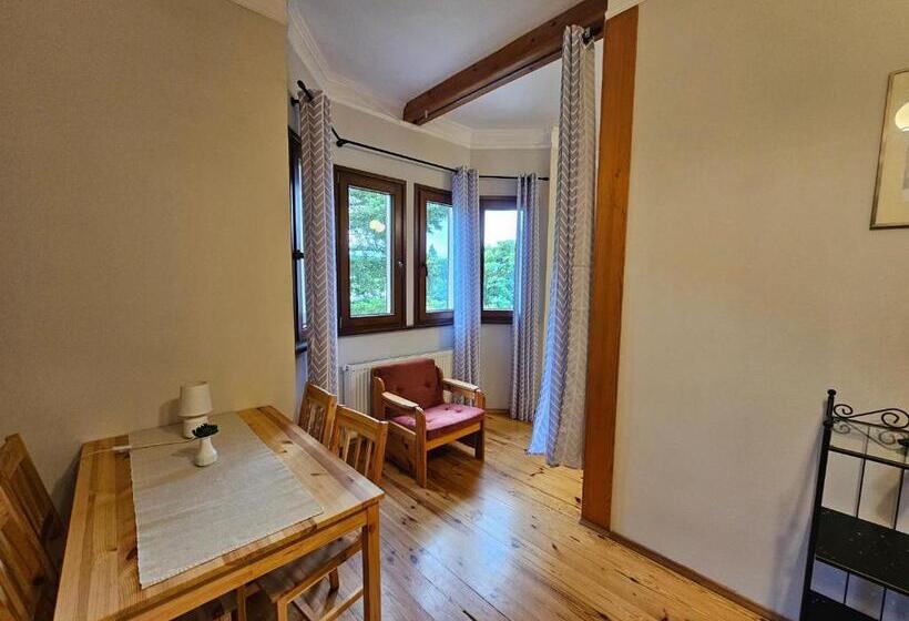 ファミリーステューディオ, Villa Alexandra