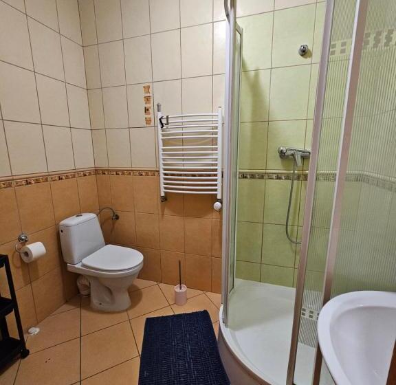 スタンダードスタジオ, Villa Alexandra