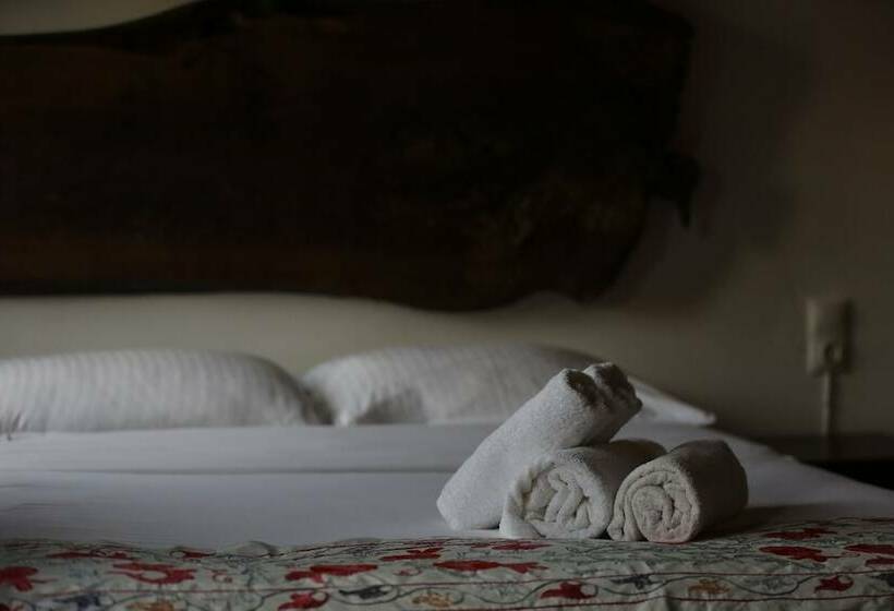 Номер Deluxe Вид на Горы, Chez Rumi Butik Otel