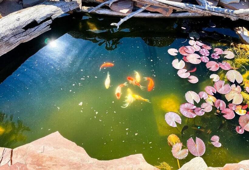 １ベッドルームハウス, Arrowhead Country Cabins