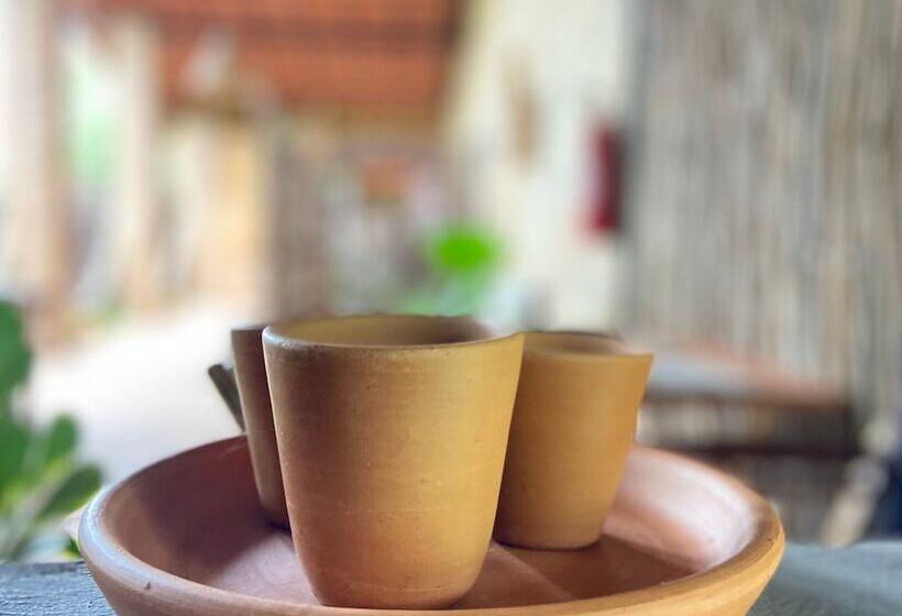 اتاق استاندارد, Pousada Ricatins