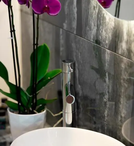 デラックススタジオ, Frunze Luxury Apartments
