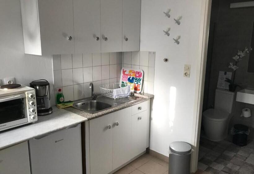 침실 1개 가든 전망 아파트, Big Blue Apartments