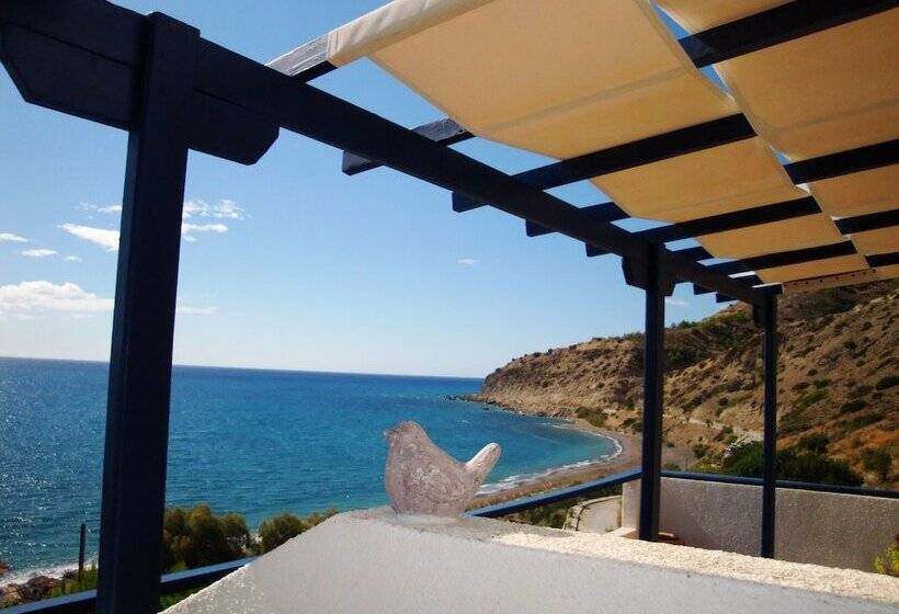 스탠다드 스튜디오 킹침대, Big Blue Apartments