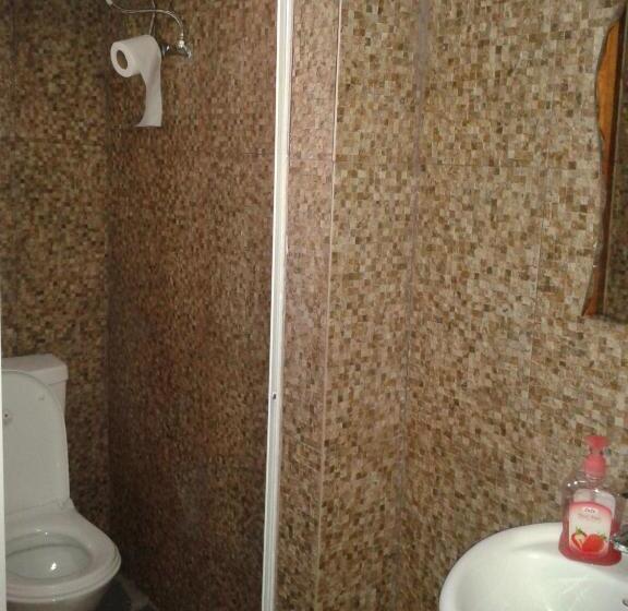 اتاق استاندارد با سرویس بهداشتی مشترک, Misfah Old House