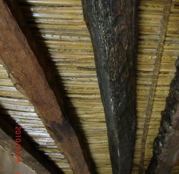 اتاق استاندارد با سرویس بهداشتی مشترک, Misfah Old House