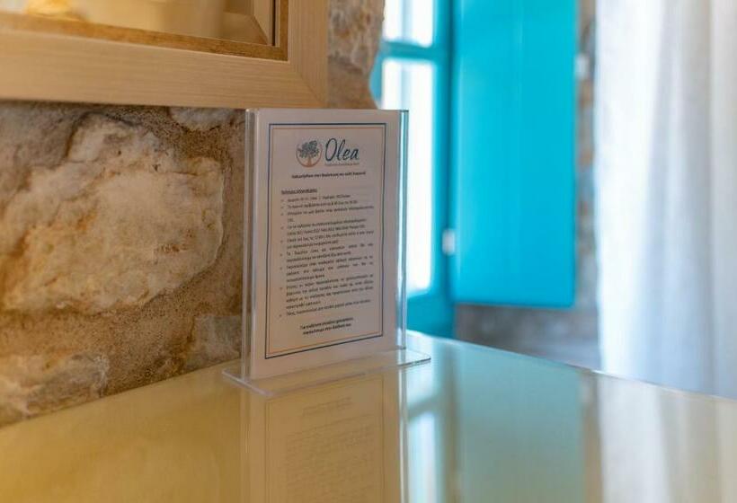 סטודיו דלוקס, Olea